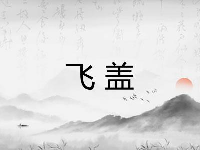 飞盖
