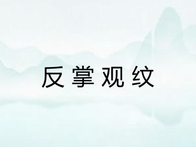 反掌观纹