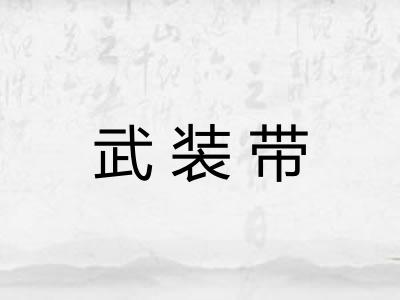 武装带