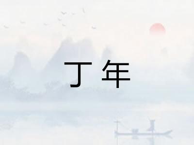 丁年