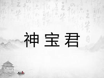 神宝君