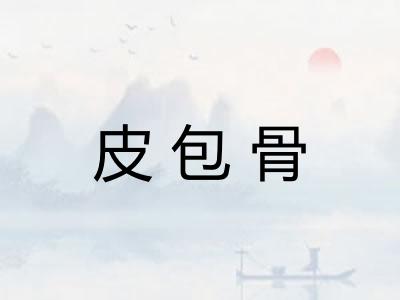 皮包骨
