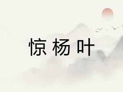 惊杨叶