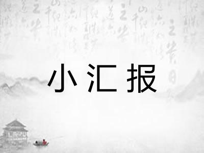 小汇报
