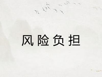 风险负担