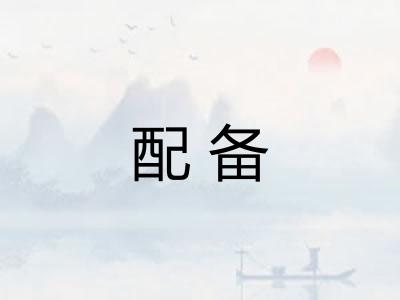 配备