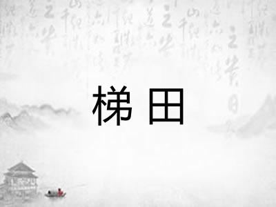 梯田