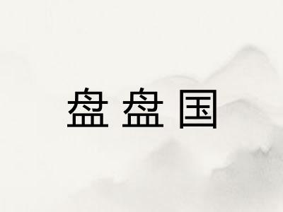 盘盘国