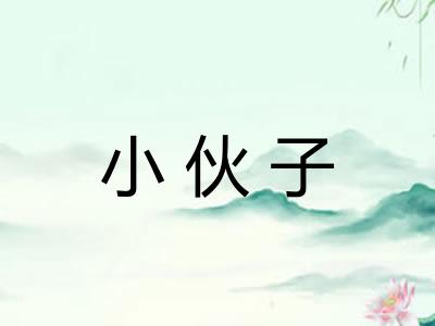 小伙子