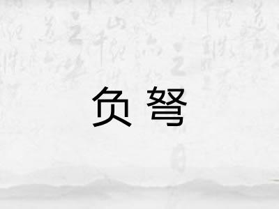 负弩