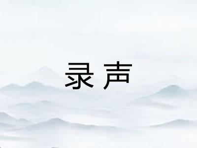 录声