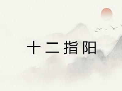 十二指阳