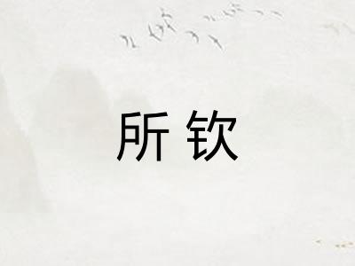 所钦