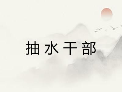 抽水干部