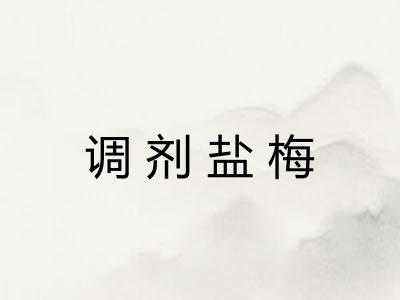 调剂盐梅