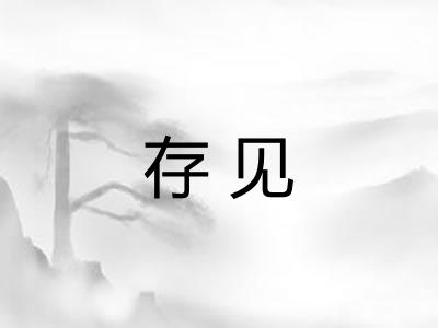 存见