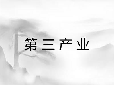 第三产业