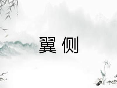 翼侧