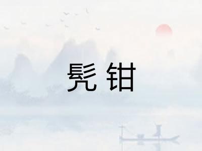 髠钳