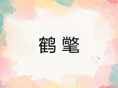 鹤氅