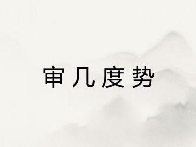 审几度势