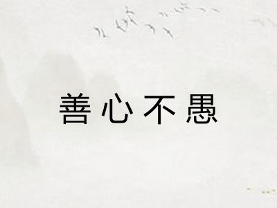 善心不愚