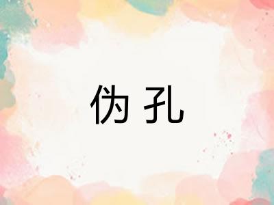 伪孔
