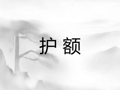 护额