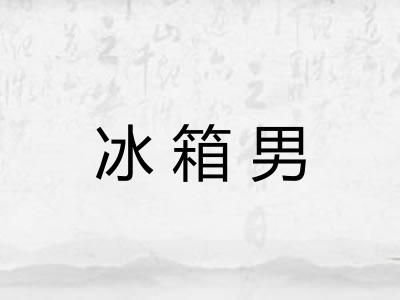 冰箱男
