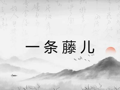 一条藤儿