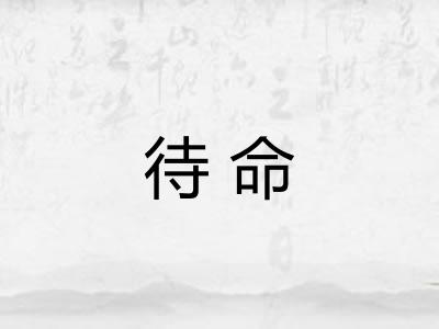 待命
