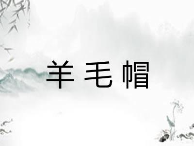 羊毛帽