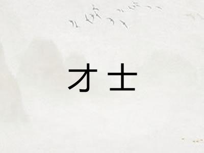 才士