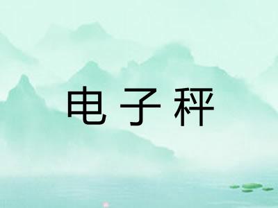 电子秤