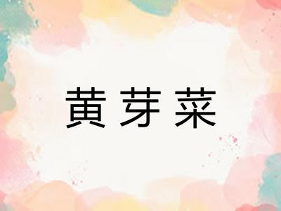 黄芽菜