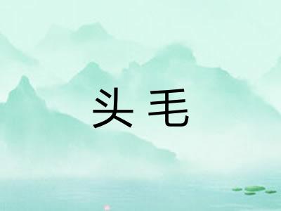 头毛