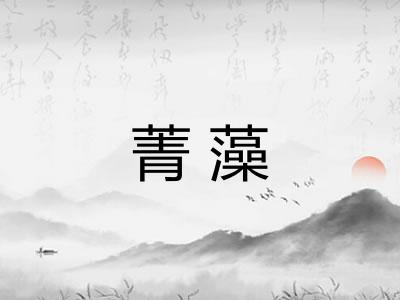菁藻