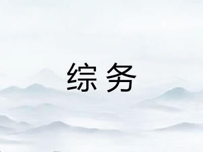 综务