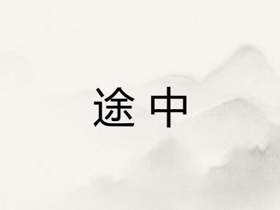 途中