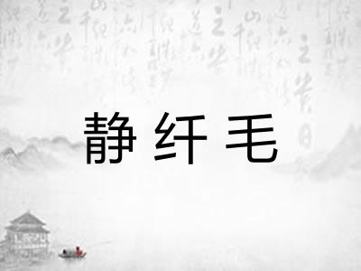 静纤毛