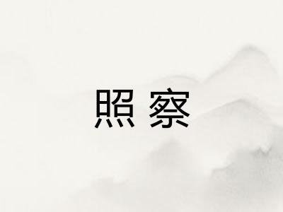 照察