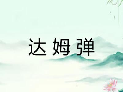 达姆弹