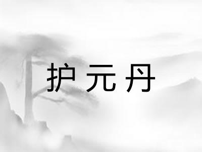 护元丹