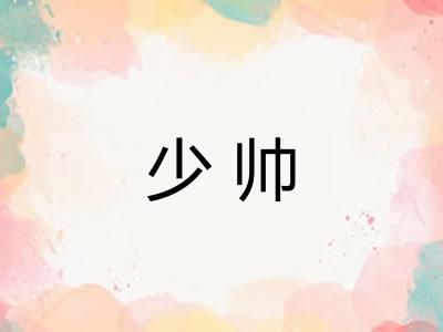 少帅