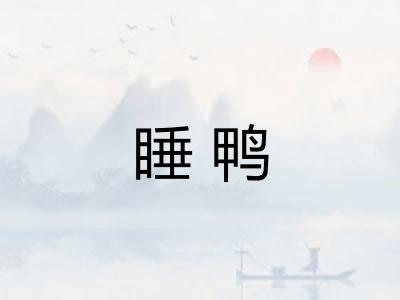 睡鸭