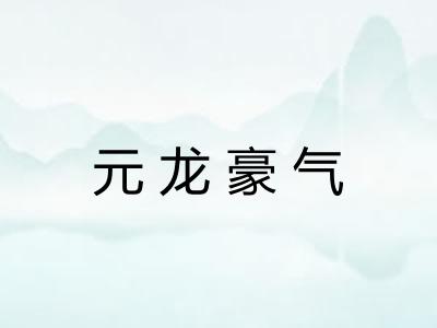 元龙豪气