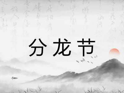 分龙节