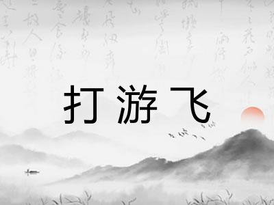 打游飞