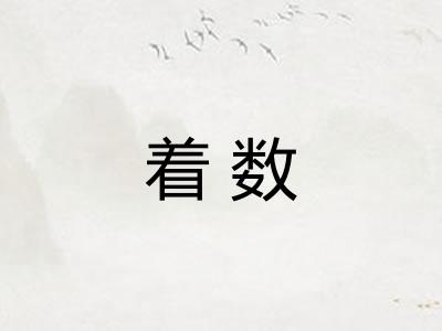 着数