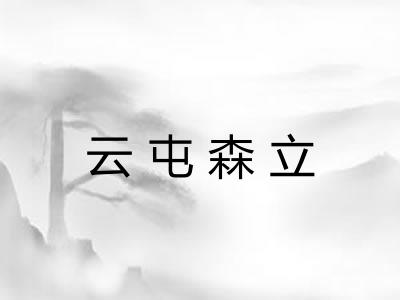 云屯森立